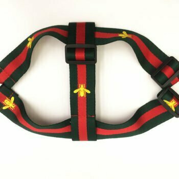 Collier et harnais pour chien Pawcci - 2025 - Vêtement et accessoires pour chiens - Doglovedesign