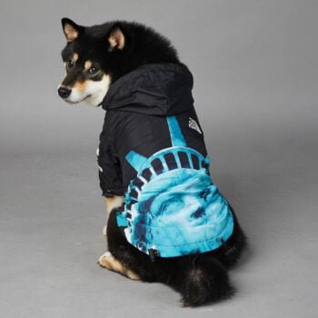 Sweat à capuche pour chien The North Face - 2025 - Vêtement et accessoires pour chiens - Doglovedesign