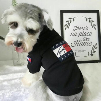 Sweat-shirt pour chien Tommy | 2024