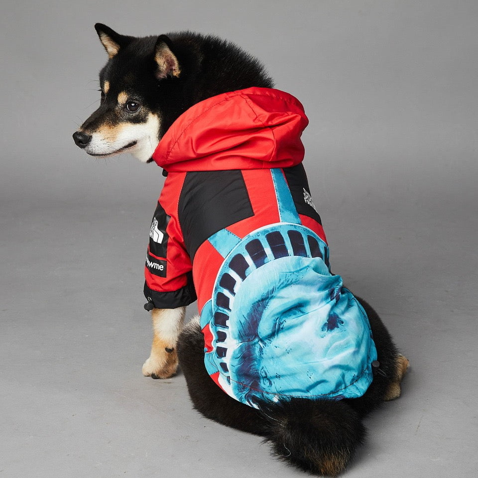 Sweat à capuche pour chien The North Face | 2024