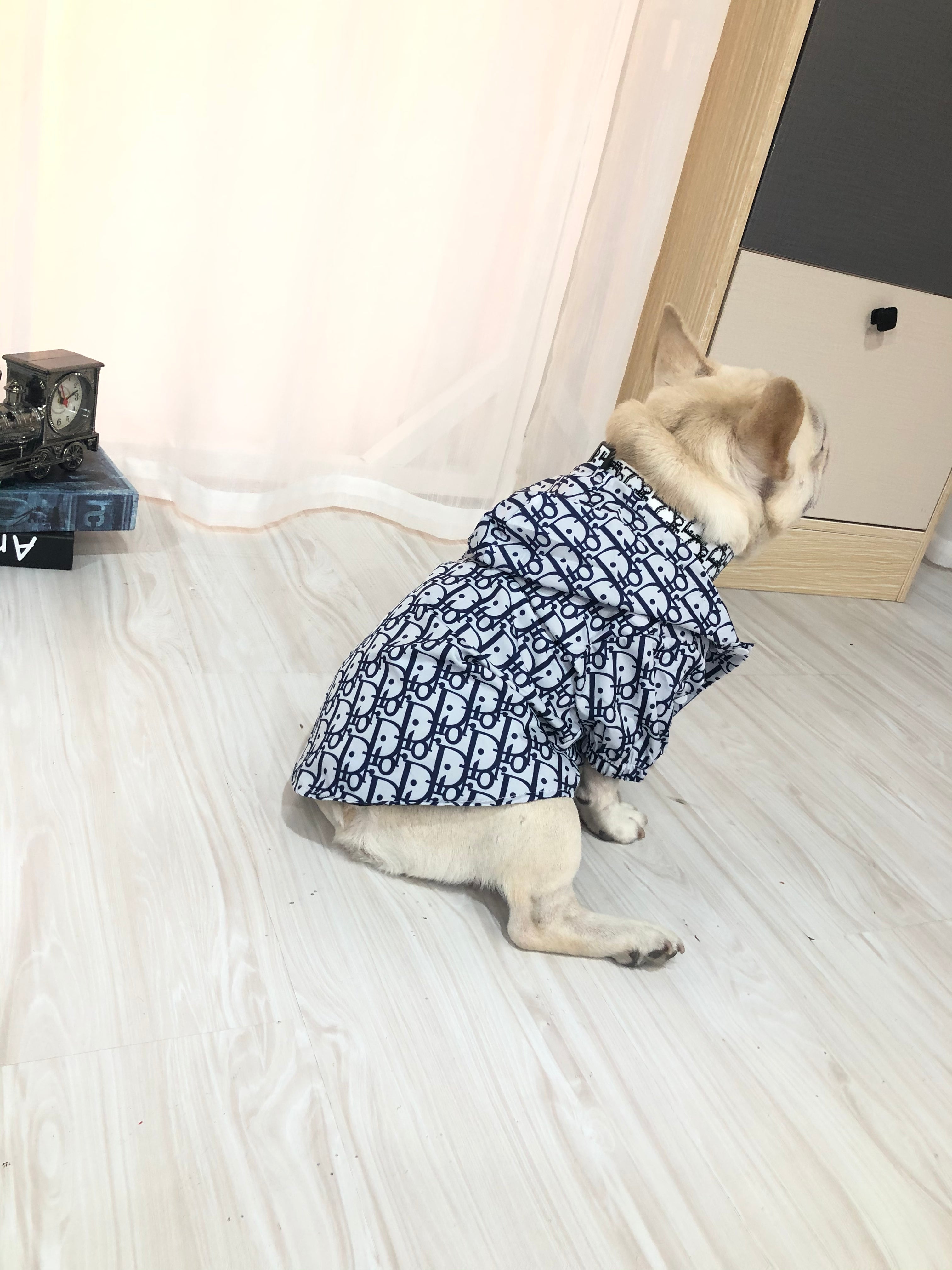 Sweat à capuche pour chien Dior | 2024