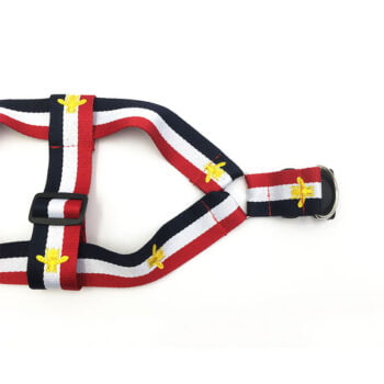 Collier et harnais pour chien Pawcci - 2025 - Vêtement et accessoires pour chiens - Doglovedesign