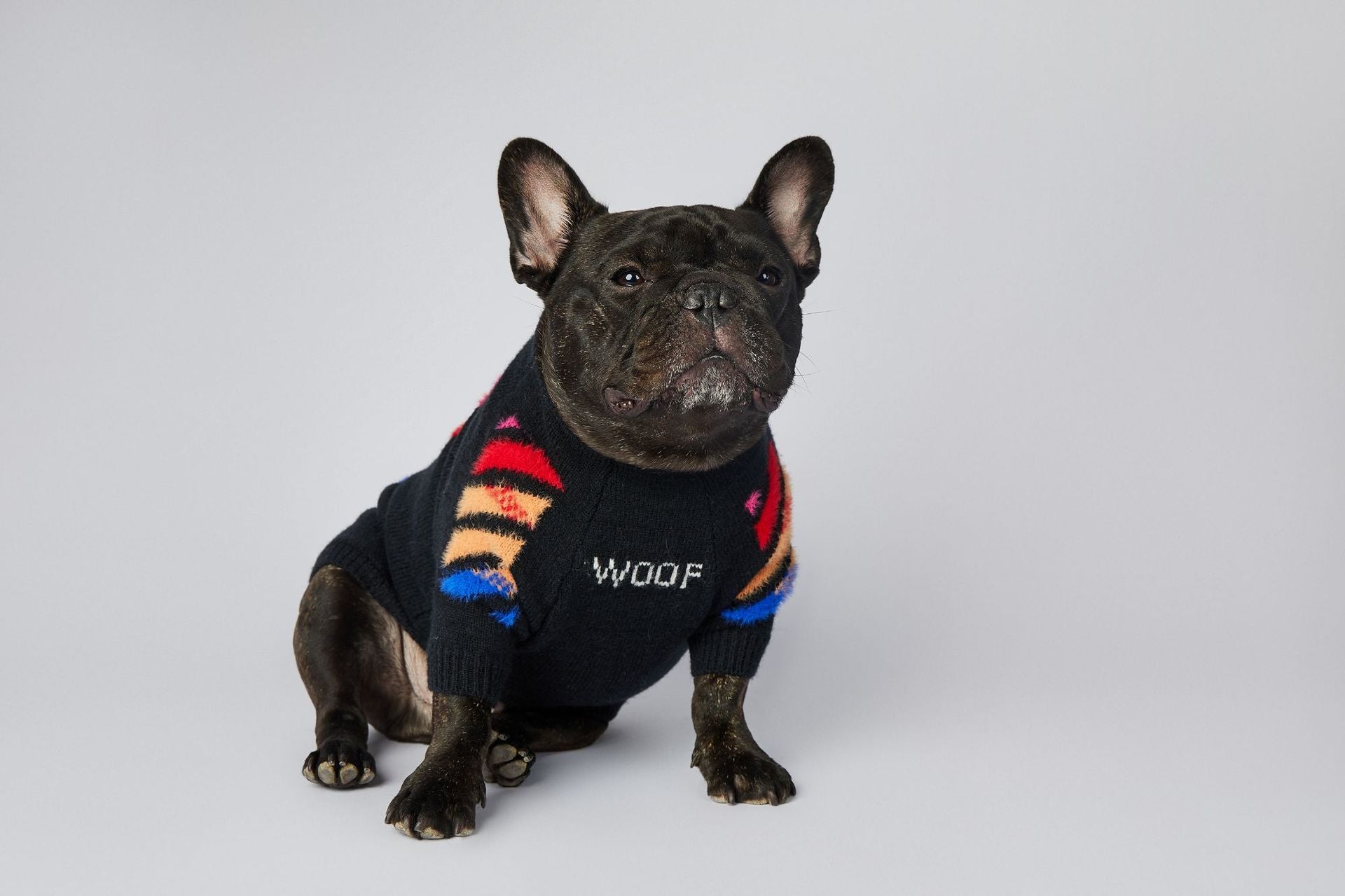 Pull pour chien WOOF | 2024