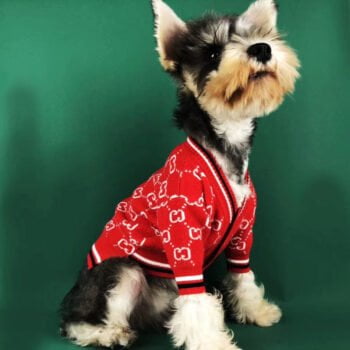 Pull pour chien Gucci | 2024