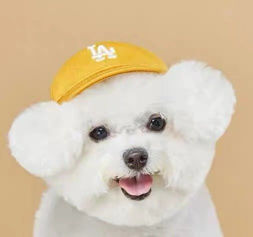 Casquette pour chiens | 2024