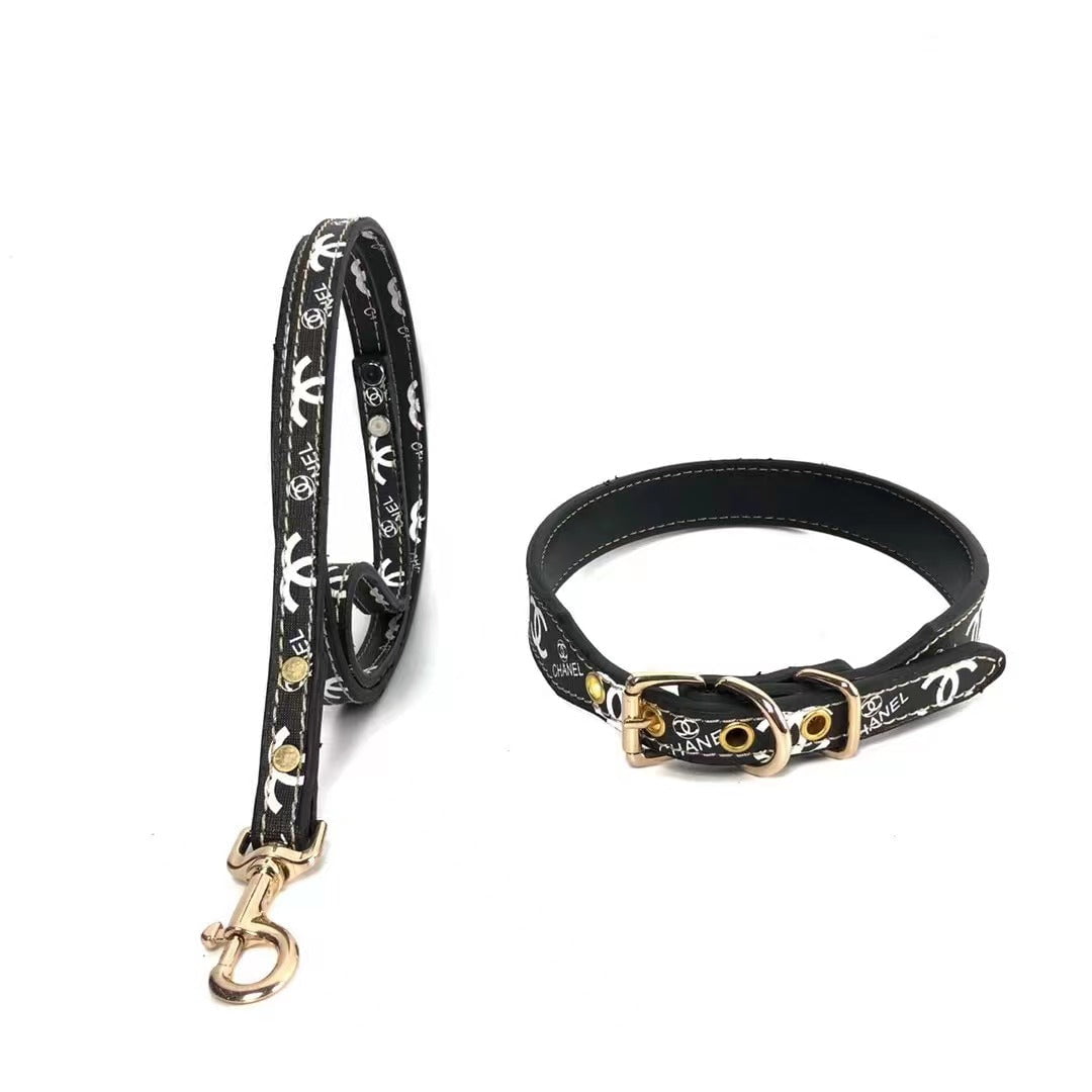 Collier et laisse pour chien Dior | 2024