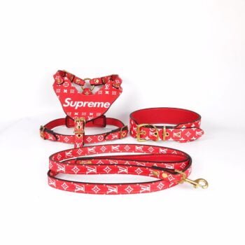 Collier et harnais pour chien Louis Pawtton | 2024