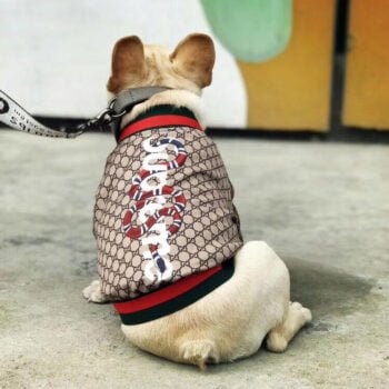 Veste pour chien Gucci | 2024