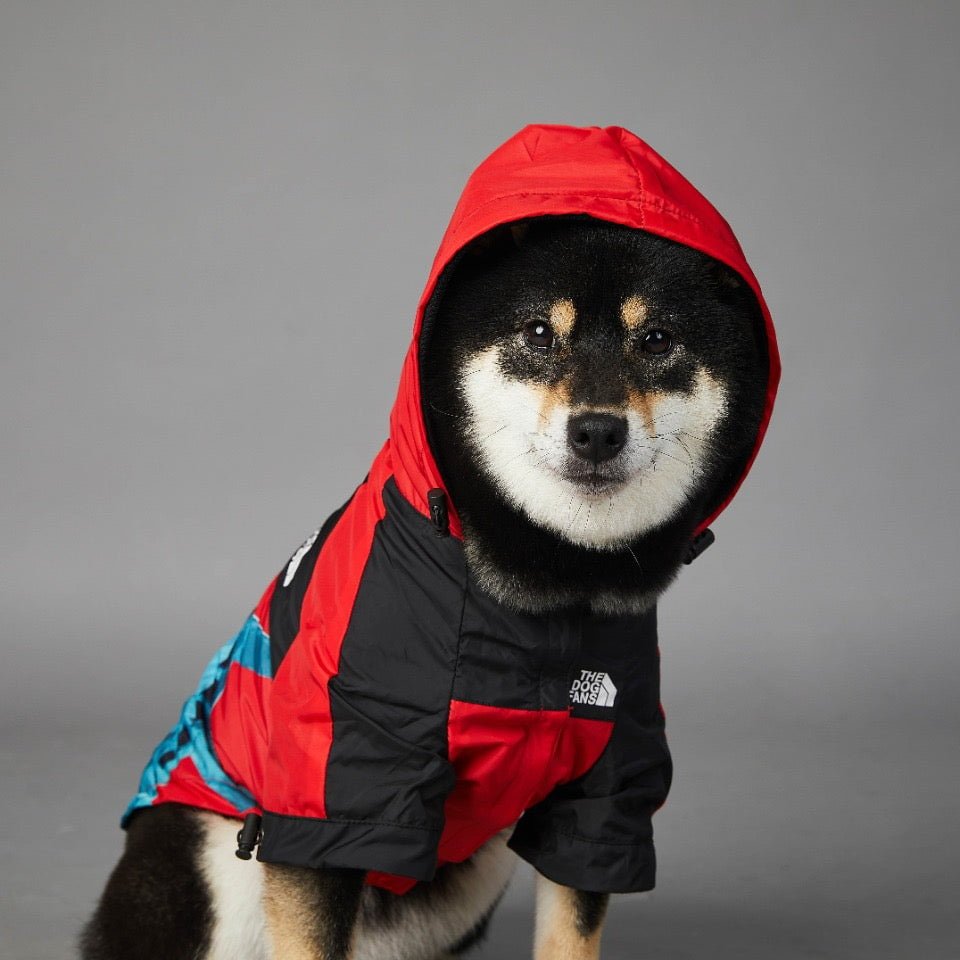 Sweat à capuche pour chien The North Face | 2024