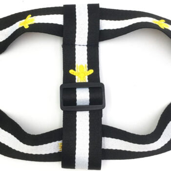 Collier et harnais pour chien Pawcci - 2025 - Vêtement et accessoires pour chiens - Doglovedesign