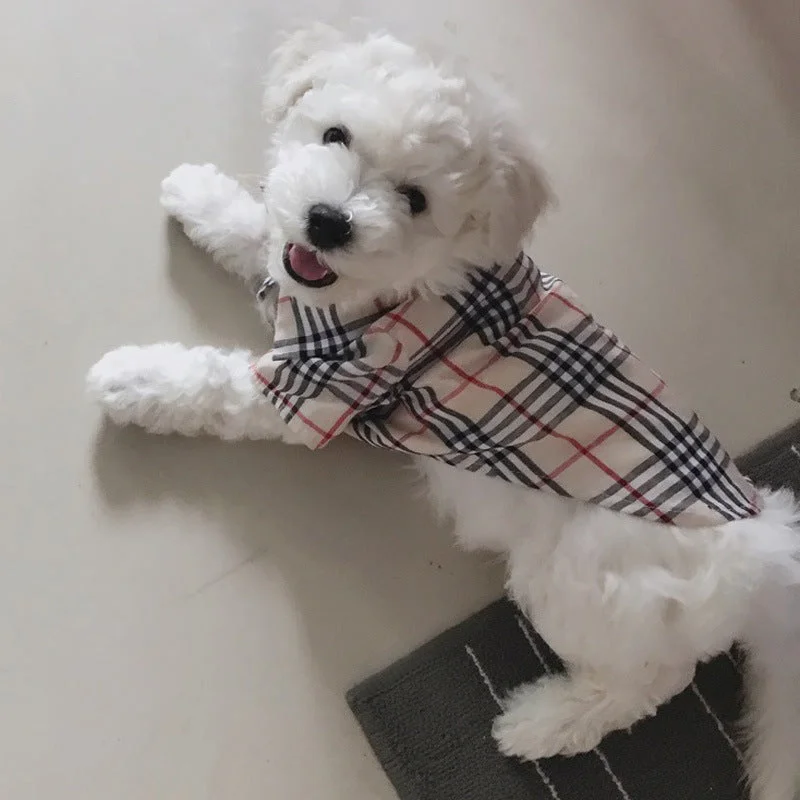 Burberry dog fashion shirt