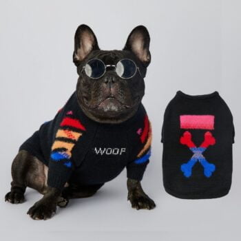 Pull pour chien WOOF | 2024