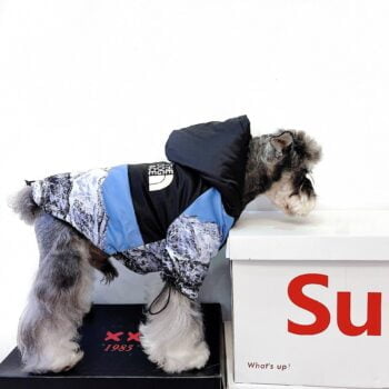 Veste pour chien The North Face | 2024