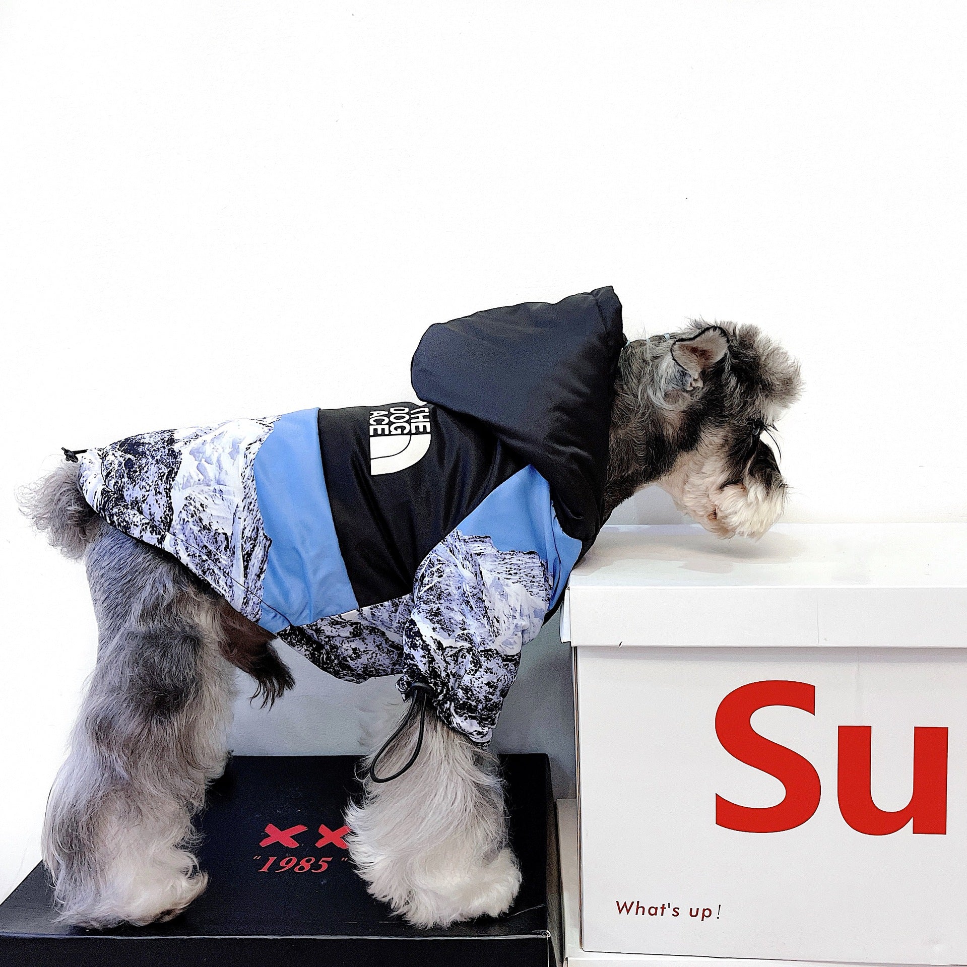 Veste pour chien The North Face - 2025 - Vêtement et accessoires pour chiens - Doglovedesign