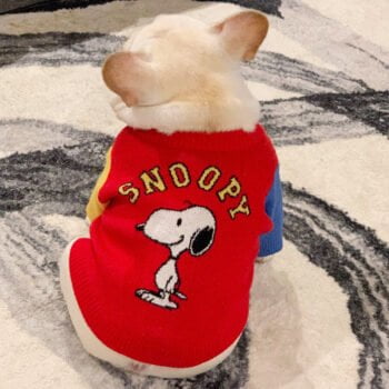 Pull pour chien SNOOPY | 2024