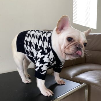 Pull pour chien Dior - 2025 - Doglovedesign : Vêtement et accessoires pour chiens