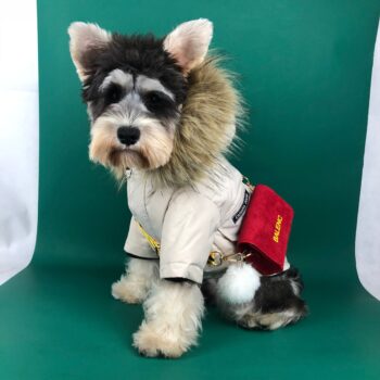 Veste pour chien Canada Goose - 2025 - Vêtement et accessoires pour chiens - Doglovedesign