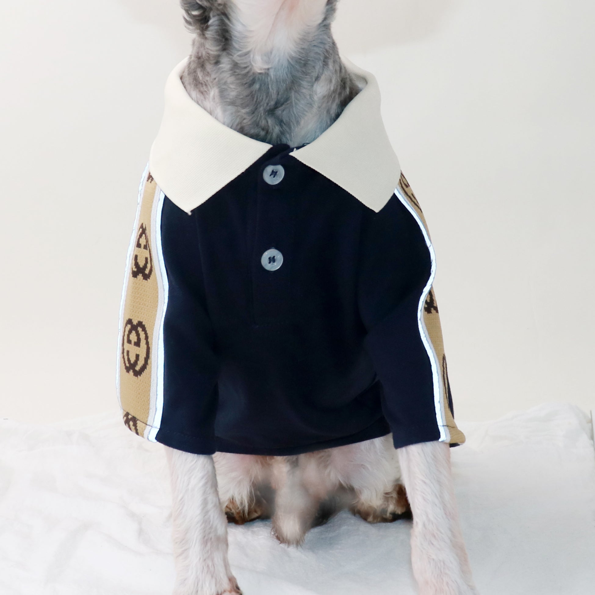 T-shirt pour chien Gucci | 2024