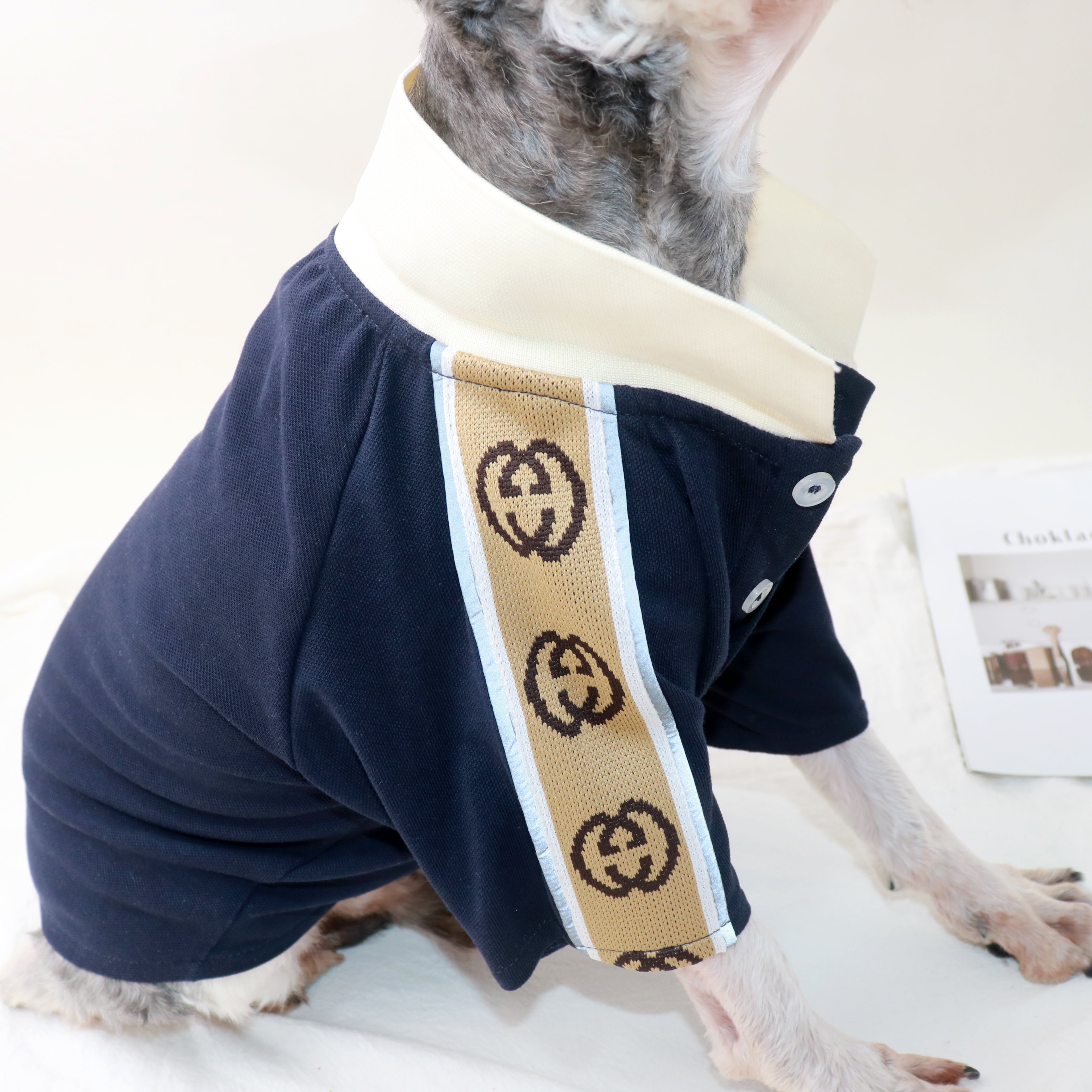 T-shirt pour chien Gucci | 2024