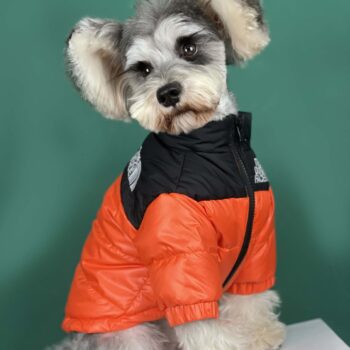 Veste pour chien The North Face | 2024