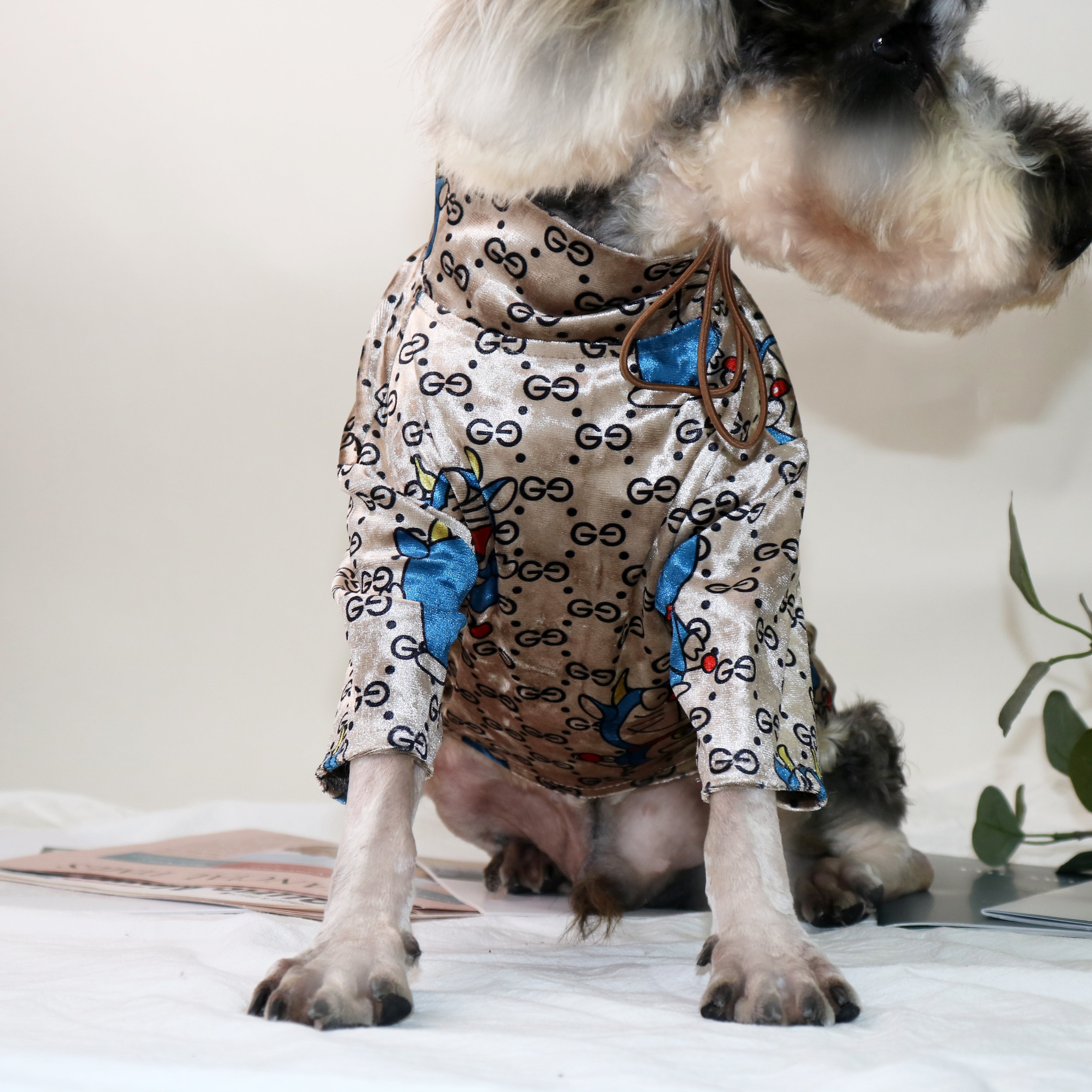 T-shirt pour chien Gucci | 2024