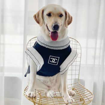 Vêtements Grands Chiens Chanel | 2025