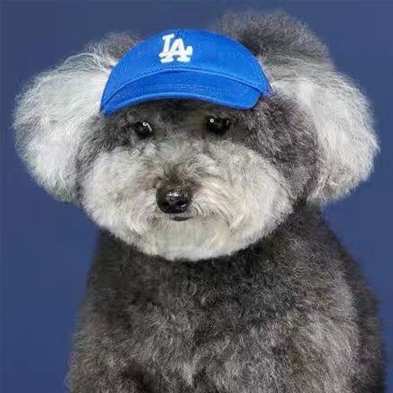 Casquette pour chiens | 2024