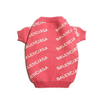 Pull pour chien Balenciaga - 2025 - Vêtement et accessoires pour chiens - Doglovedesign
