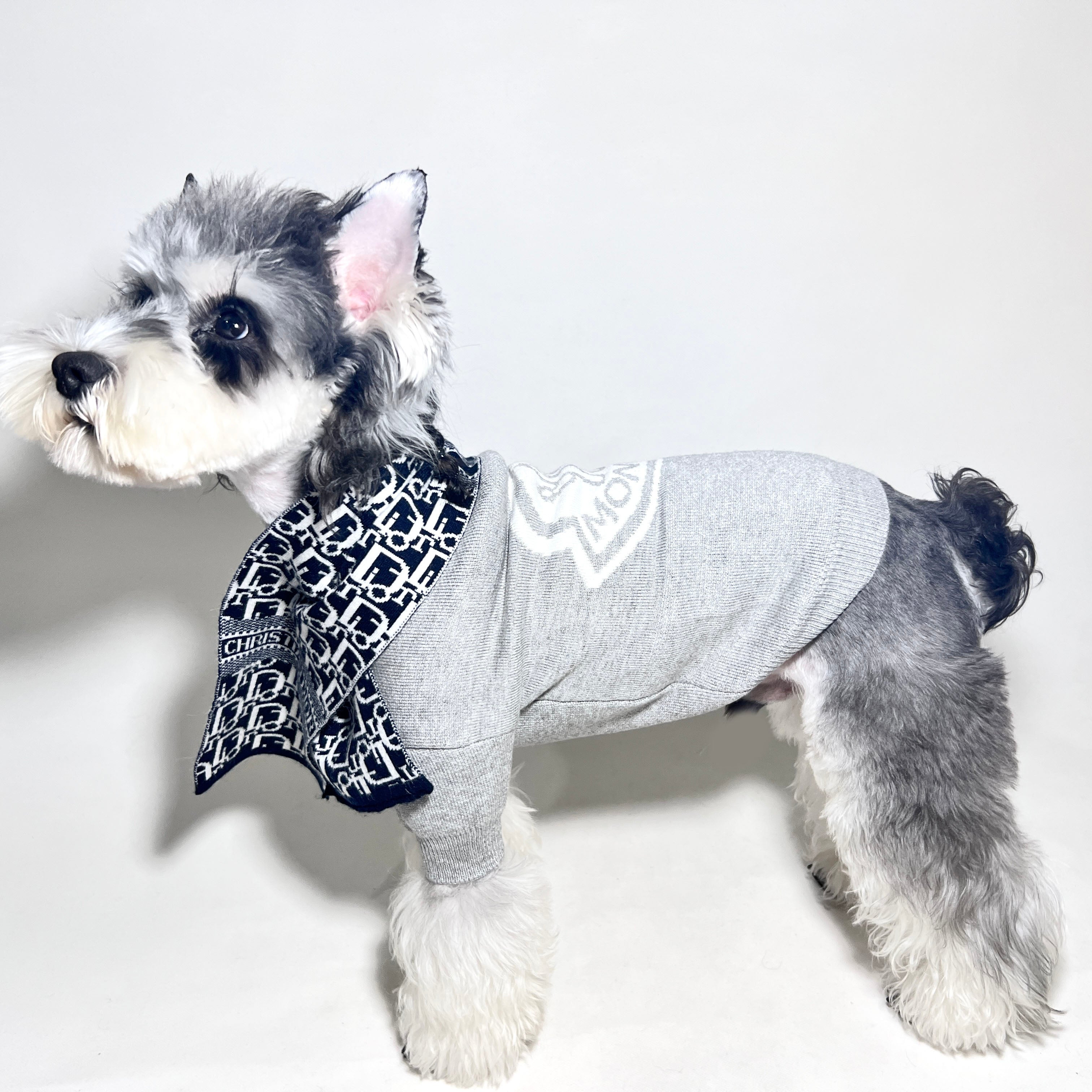 Pull pour chien Moncler | 2024