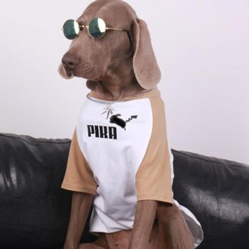 Vêtements Grands Chiens Pika | 2025