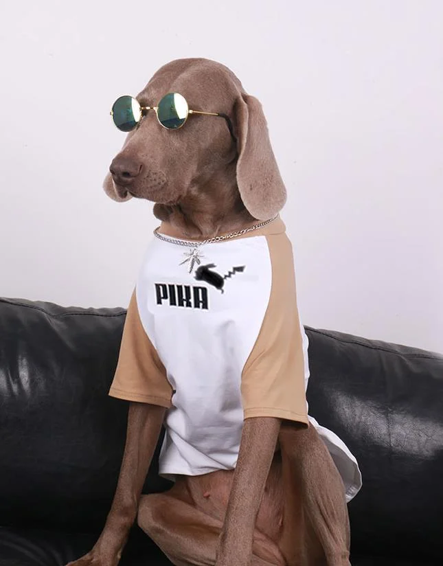 Vêtements Grands Chiens Pika | 2025