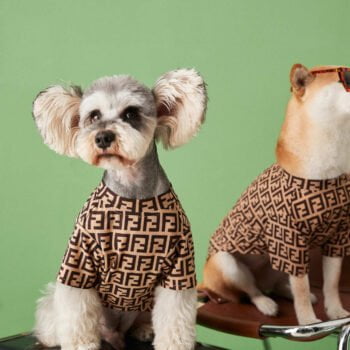 T-shirt pour chien Fendi | 2024