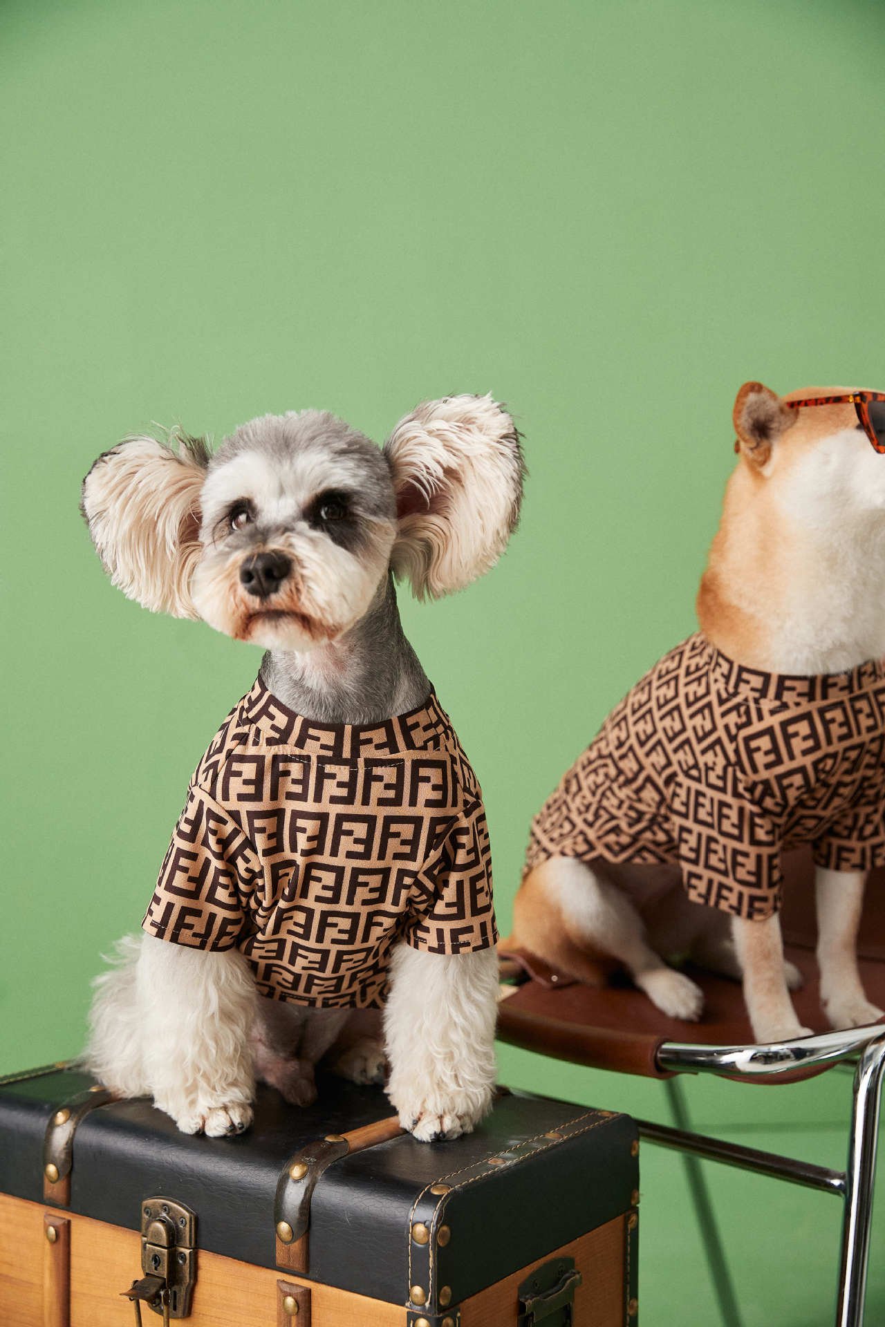 T-shirt pour chien Fendi | 2024