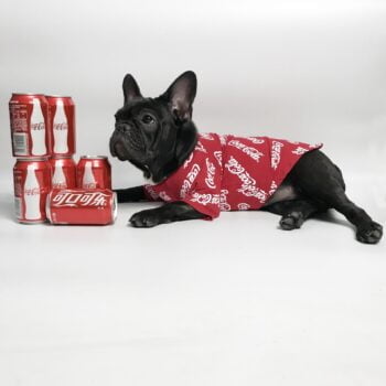 T-shirt pour chien Coca Cola | 2024