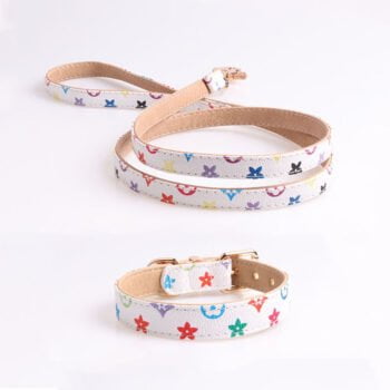 Collier et harnais pour chien Louis Pawtton - 2025 - Vêtement et accessoires pour chiens - Doglovedesign