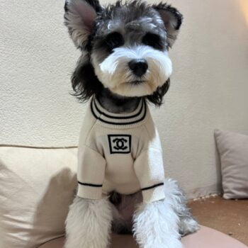 Pull pour chien Chanel | 2024