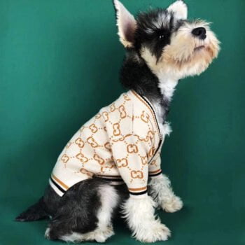 Pull pour chien Gucci | 2024