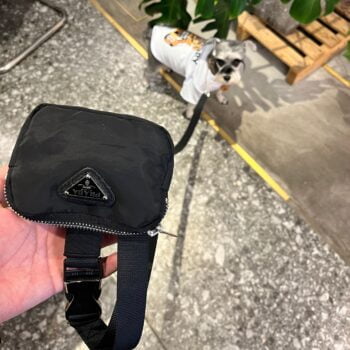 Accessoires de Luxe pour Chiens : Laisse et Collier Prada - 2025 - Vêtement et accessoires pour chiens - Doglovedesign