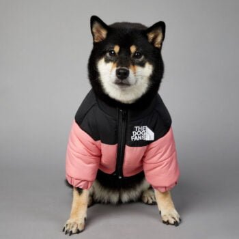 Veste pour chien The North Face - 2025 - Vêtement et accessoires pour chiens - Doglovedesign