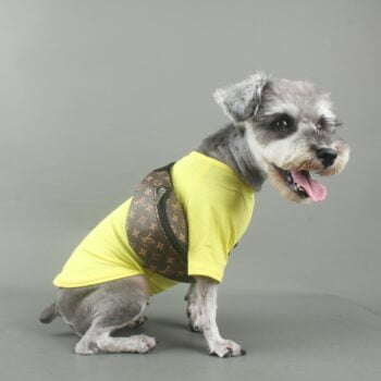 Sac Banane Monogrammé | Accessoire Chien Luxe & Vêtement Chihuahua Tendance - 2025 - Doglovedesign : Vêtement et accessoires pour chiens