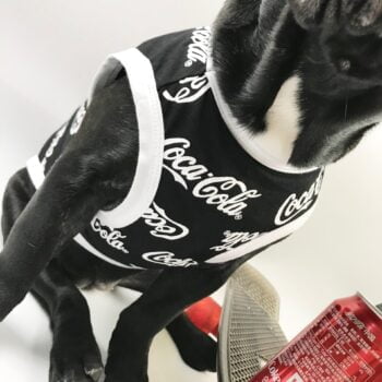 Gilet sans manches pour chien Coca Cola | 2024