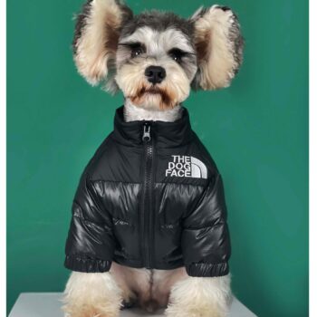 Veste pour chien The North Face | 2024