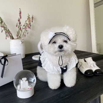 Robe pour chien Chanel | 2024