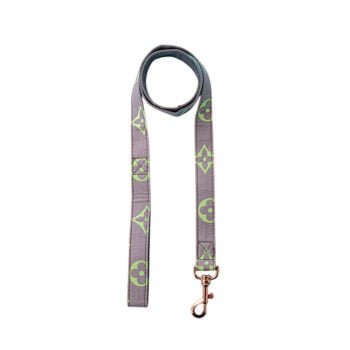 Collier et Harnais Pawtton pour Chiens - 2025 - Vêtement et accessoires pour chiens - Doglovedesign