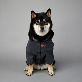 Veste pour chien Nasa | 2024