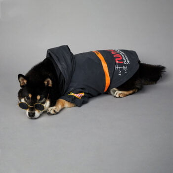 Veste pour chien Nasa | 2024