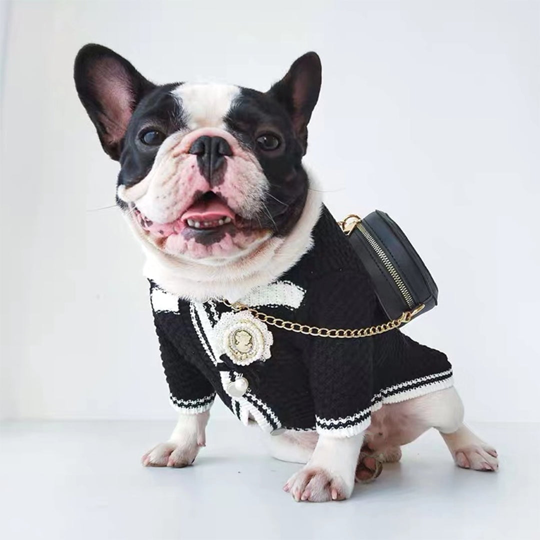 Pull pour chien Chanel | 2024