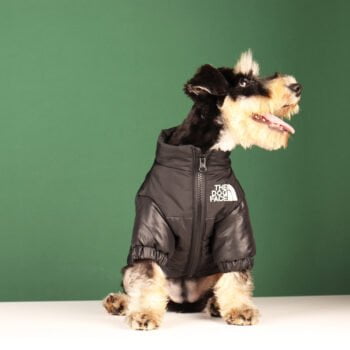 Veste pour chien The North Face | 2024