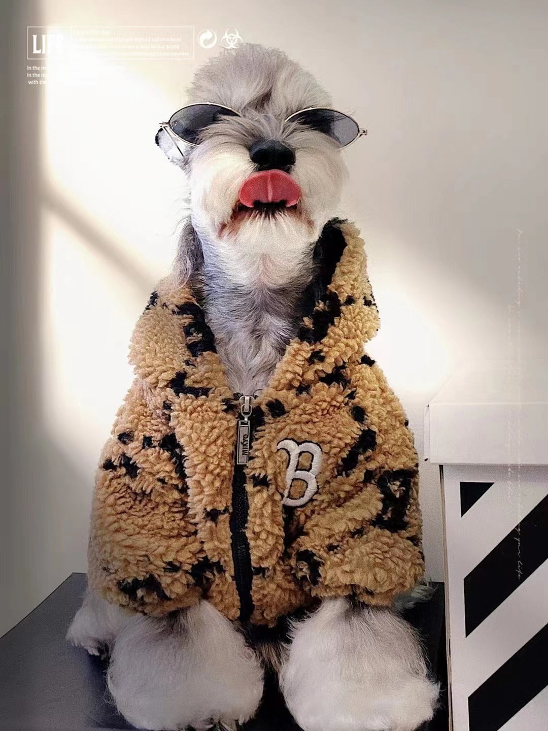 Sweat à capuche pour chien Burberry | 2024