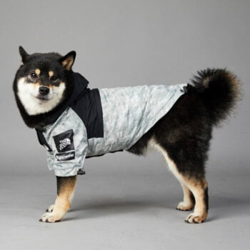 Sweat à capuche pour chien The North Face - 2025 - Doglovedesign : Vêtement et accessoires pour chiens Sweat à capuche pour chien The North Face - 2025 - Doglovedesign : Vêtement et accessoires pour chiens
